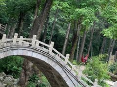 -洛阳白云山景区