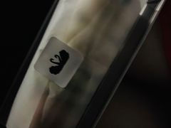 -BLACKSWAN黑天鹅(环球店)
