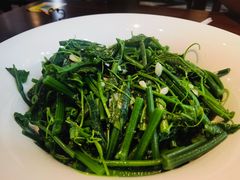 -顺承小院儿