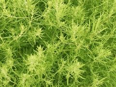 -映月湖中央公园