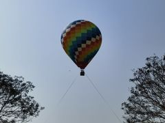 -中国科学院西双版纳热带植物园
