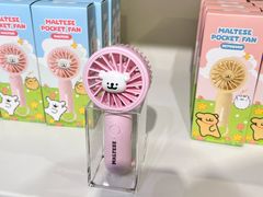 -KAKAO FRIENDS(弘大店)