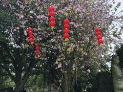 -南沙天后宫景区