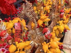 -越秀西湖花市(广州城市广场花卉店)