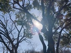 -浙江西子宾馆·牡丹厅