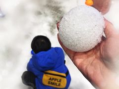 -Mr·Kuma酷么先生雪之乐园