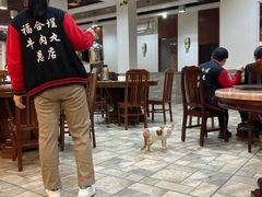 大堂-福合埕牛肉丸(福平路店)