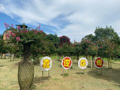 -东平国家森林公园