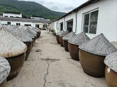 -苏州市吴中区光福窑上花果蜜饯厂