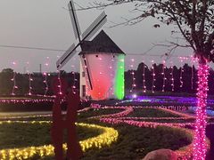-金卉庄园