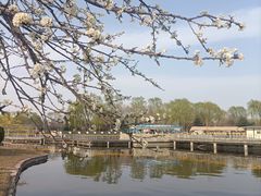 -石家庄市植物园