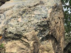 -北京鹫峰国家森林公园