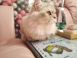 -Beauty Nails 美甲美睫皮肤管理