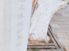 -海埂大坝