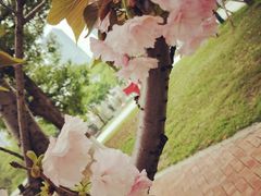 -长沙市青少年宫