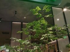 -绿茶餐厅(北京世纪金源店)