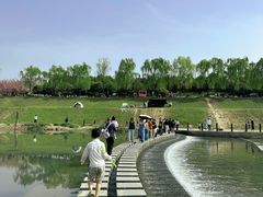 -洨河生态公园