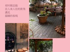 -西湖外事游船(花港观鱼码头)