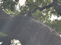 -西湖游船