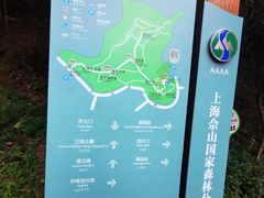 -上海佘山国家森林公园天马山园