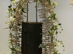 国际花卉艺术展-广州市第二少年宫