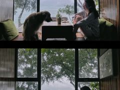 -城墙外BAR