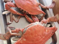 -渔民船说·北塘海鲜·天津菜·海肠捞饭(北塘古镇店)