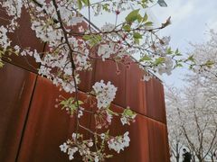 -龙美术馆西岸馆-停车场