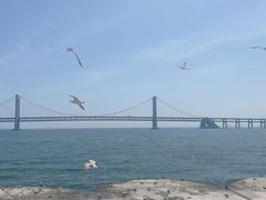 -星海广场