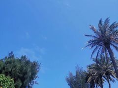 -鹅銮鼻公园