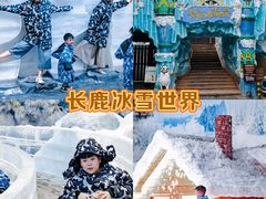 -长鹿旅游休博园