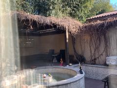 -春晖园度假酒店温泉