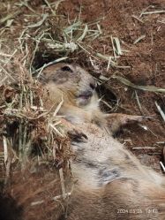 -Zoolung Zoolung动物主题公园(海信广场店)