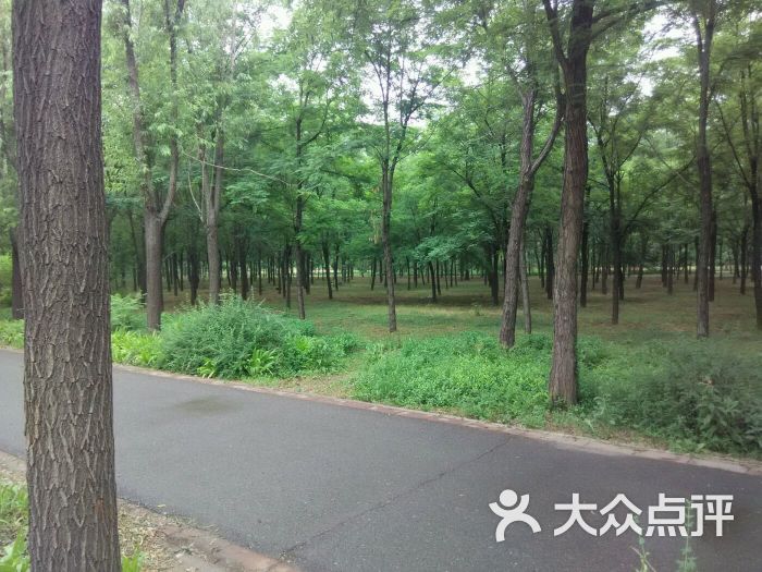 東壩郊野公園圖片 - 第5張