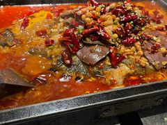 -炉鱼(亲橙里店)