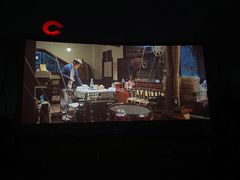 -枫花园汽车电影院(朝阳公园店)