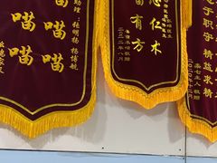 -中农国际动物医院24小时·猫科·骨科·急重症中心