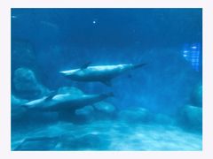 -福州罗源湾海洋世界旅游区