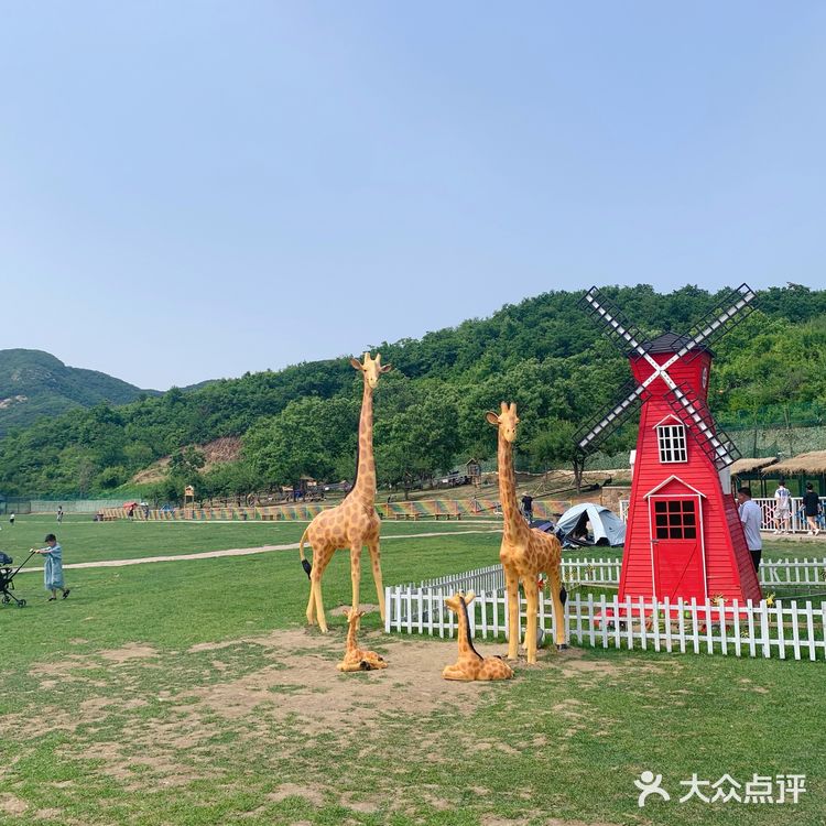 鞍山老院子动物园