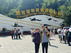 -西双版纳原始森林公园