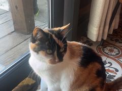 -BUND·FIVE外滩5号(天际店)