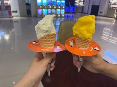 -野人先生现做冰淇淋(北京顺义祥云小镇店)