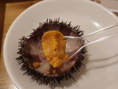 -海胆小馆(东北水饺·春柳店)