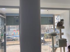 -A猫a狗全科·犬猫异宠·芥西宠物医院(南开总院)