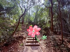 -上海佘山国家森林公园天马山园