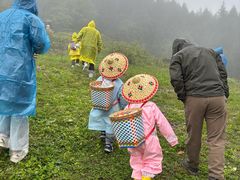 -武陵山森林公园