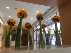 -杭州贝瑞斯美华妇儿医院·早孕·产检·儿科