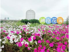 -秀丽东方