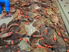 -一方渔歌蒸汽海鲜自助(文化路万达广场店)