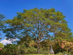 -中国科学院西双版纳热带植物园